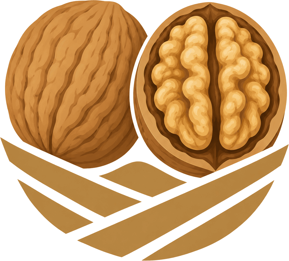 Walnuts icon